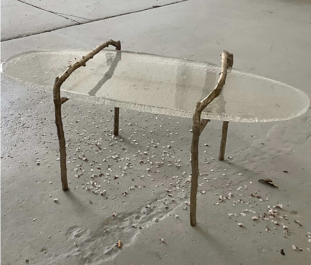 The Alder Branch Ice Coffee Table by O.C. Studios
